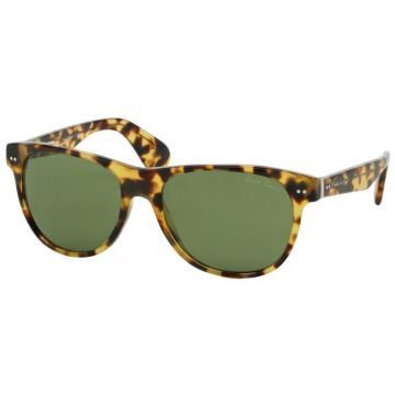 Ralph Lauren RL 8129P 500452 Sonnenbrille