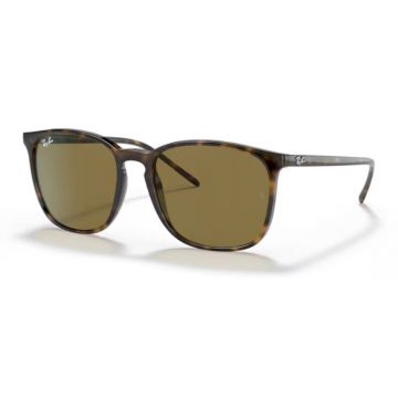 Ray Ban RB4387 710/73 Sonnenbrille - Optilens.de