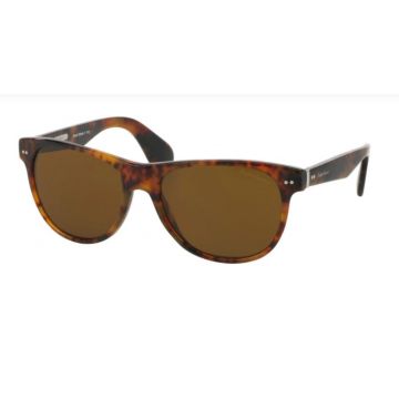 Ralph Lauren RL 8129P 501752 Sonnenbrille -optilens.de 