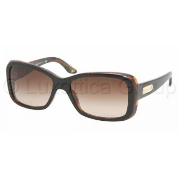 Ralph Lauren RL 8066 526013